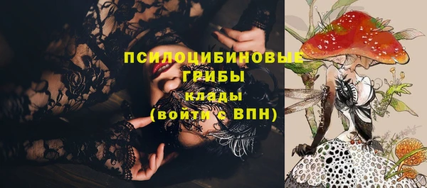 круглые Алексеевка