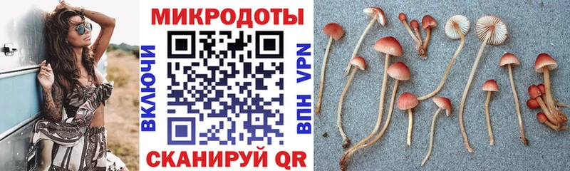 Псилоцибиновые грибы ЛСД  сколько стоит  omg   Лобня 